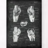 Codex Anatomicus Hands & Legs^Knee anatomy chart - Chalkboard