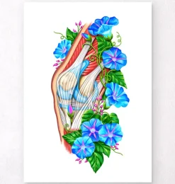 Codex Anatomicus Skull & Skeleton^Knee anatomy II - Floral - White