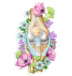Codex Anatomicus Stickers^Knee anatomy sticker - Floral