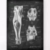 Codex Anatomicus Skull & Skeleton | Hands & Legs^Knee joint and leg muscles - Chalkboard