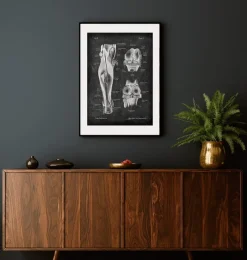 Codex Anatomicus Skull & Skeleton | Hands & Legs^Knee joint and leg muscles - Chalkboard