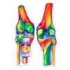 Codex Anatomicus Stickers^Knees anatomy sticker - Watercolor Splash