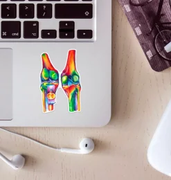 Codex Anatomicus Stickers^Knees anatomy sticker - Watercolor Splash