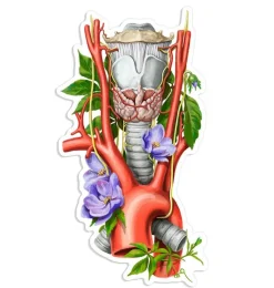Codex Anatomicus Stickers^Larynx, aorta, thyroid anatomy sticker - Floral