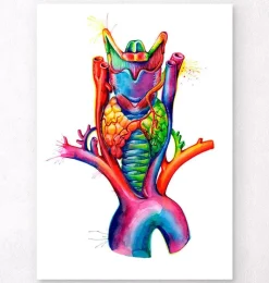 Codex Anatomicus Various Organs^Larynx, Thyroid and Aorta - Watercolor splash anatomy art
