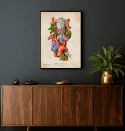 Codex Anatomicus Various Organs^Larynx, Thyroid and Aorta - Floral - Vintage