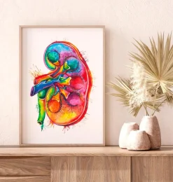 Codex Anatomicus Kidney & Liver^Left kidney anatomy - Watercolor splash