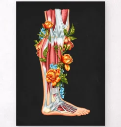 Codex Anatomicus Hands & Legs^Leg anatomy - Floral - Black