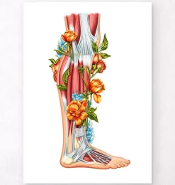 Codex Anatomicus Hands & Legs^Leg anatomy - Floral - White