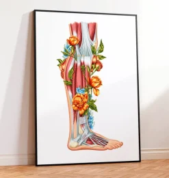 Codex Anatomicus Hands & Legs^Leg anatomy - Floral - White