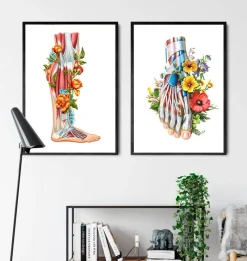 Codex Anatomicus Hands & Legs^Leg anatomy - Floral - White