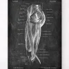 Codex Anatomicus Hands & Legs^Leg muscles anatomy - Chalkboard