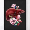 Codex Anatomicus Digestive System | Kidney & Liver^Liver anatomy - Floral - Black
