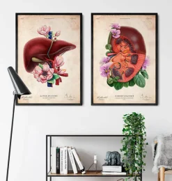 Codex Anatomicus Digestive System | Kidney & Liver^Liver anatomy - Floral - Vintage
