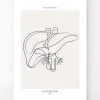 Codex Anatomicus Digestive System | Kidney & Liver^Liver anatomy - Line Art