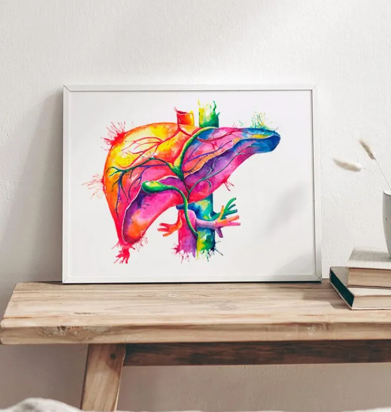 Codex Anatomicus Digestive System | Kidney & Liver^Liver anatomy art - Watercolor splash