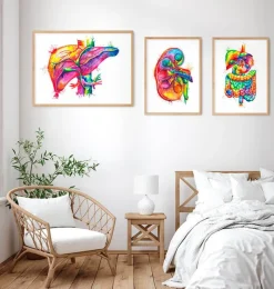 Codex Anatomicus Digestive System | Kidney & Liver^Liver anatomy art - Watercolor splash
