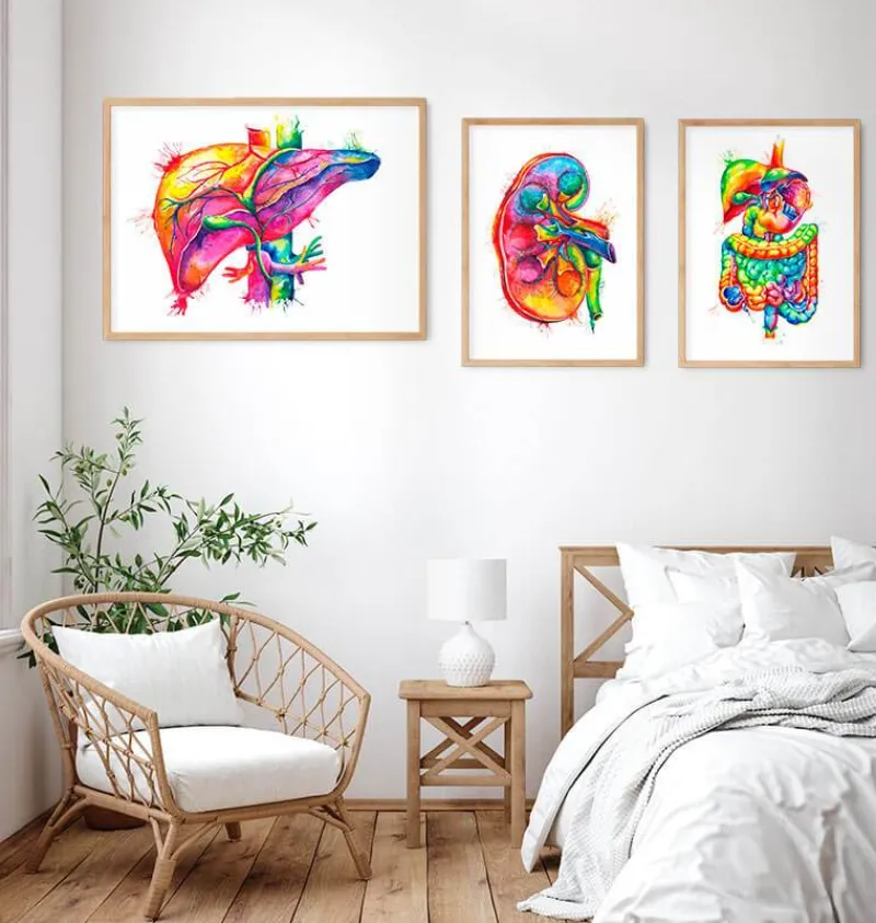 Codex Anatomicus Digestive System | Kidney & Liver^Liver anatomy art - Watercolor splash