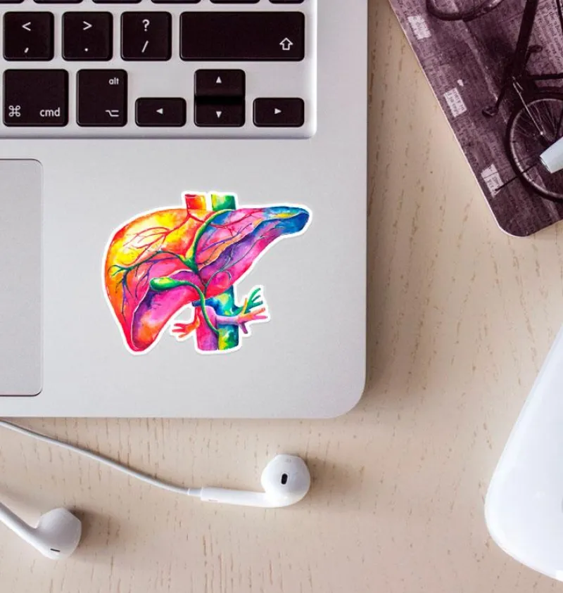 Codex Anatomicus Stickers^Liver anatomy sticker - Watercolor Splash