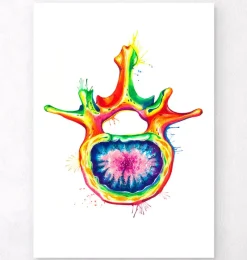 Codex Anatomicus Skull & Skeleton^Lumbar vertebra - Watercolor splash