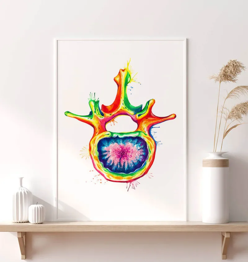 Codex Anatomicus Skull & Skeleton^Lumbar vertebra - Watercolor splash