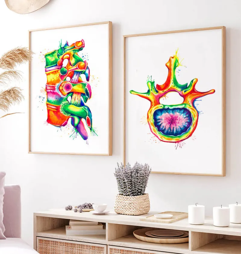 Codex Anatomicus Skull & Skeleton^Lumbar vertebra - Watercolor splash