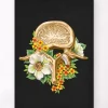Codex Anatomicus Skull & Skeleton^Lumbar vertebrae - Floral - Black