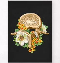 Codex Anatomicus Skull & Skeleton^Lumbar vertebrae - Floral - Black