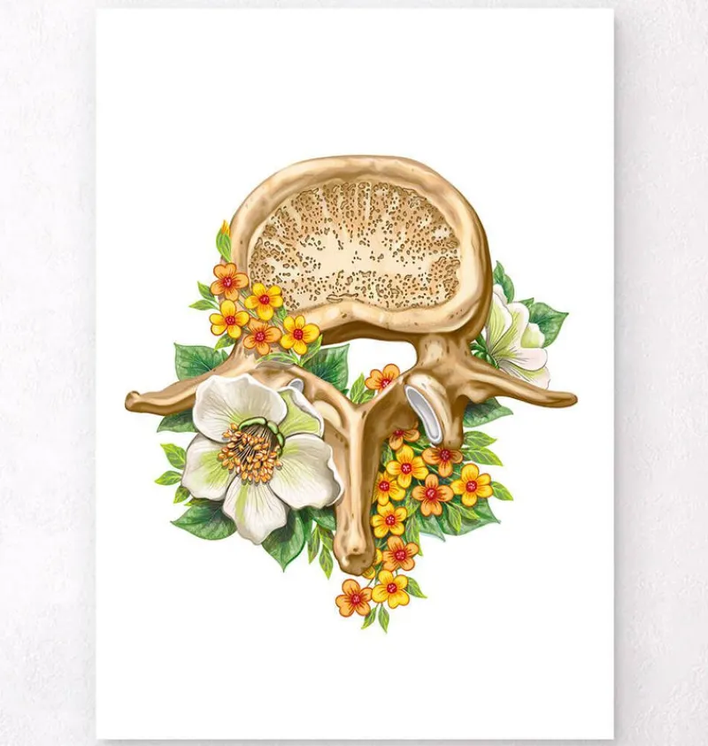 Codex Anatomicus Skull & Skeleton^Lumbar vertebrae - Floral - White