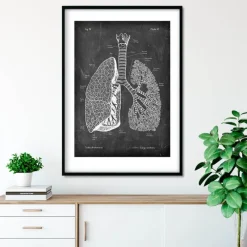 Codex Anatomicus Lungs Anatomy^Lungs anatomy - Chalkboard