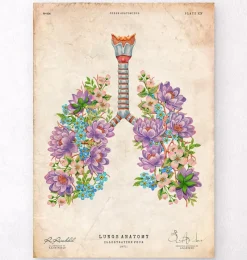 Codex Anatomicus Lungs Anatomy^Lungs anatomy - Floral - Vintage