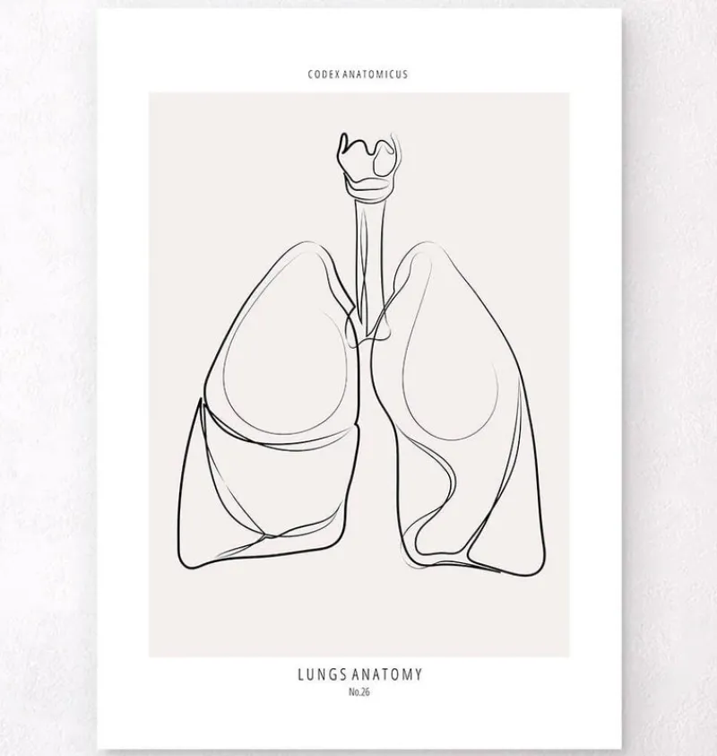 Codex Anatomicus Lungs Anatomy^Lungs anatomy - Line Art