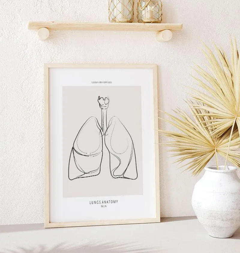 Codex Anatomicus Lungs Anatomy^Lungs anatomy - Line Art