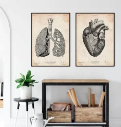 Codex Anatomicus Lungs Anatomy^Lungs anatomy art - Vintage