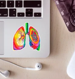 Codex Anatomicus Stickers^Lungs anatomy sticker - Watercolor Splash