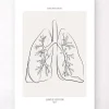 Codex Anatomicus Lungs Anatomy^Lungs section - Line Art