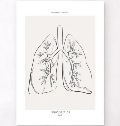 Codex Anatomicus Lungs Anatomy^Lungs section - Line Art