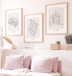Codex Anatomicus Lungs Anatomy^Lungs section - Line Art