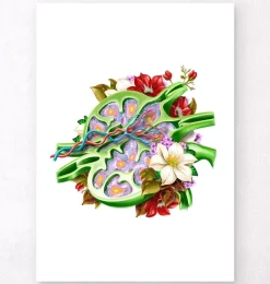 Codex Anatomicus Various Organs^Lymph node anatomy - Floral - White