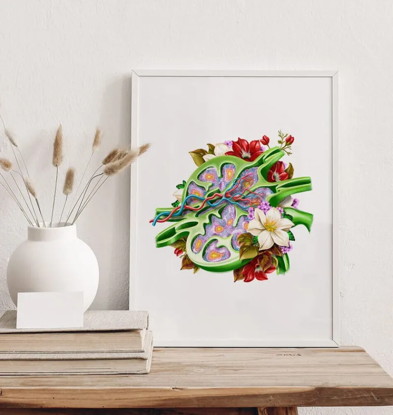 Codex Anatomicus Various Organs^Lymph node anatomy - Floral - White