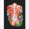 Codex Anatomicus Full Body Anatomy^Male back muscles - Floral - Black