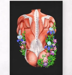 Codex Anatomicus Full Body Anatomy^Male back muscles - Floral - Black