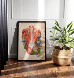 Codex Anatomicus Full Body Anatomy^Male back muscles - Floral - Vintage