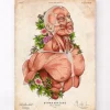 Codex Anatomicus Full Body Anatomy^Male body - Floral - Vintage