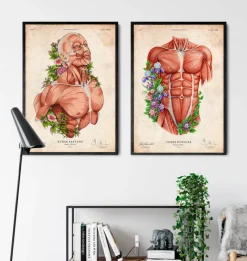 Codex Anatomicus Full Body Anatomy^Male body - Floral - Vintage