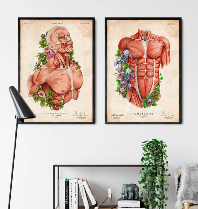 Codex Anatomicus Full Body Anatomy^Male body - Floral - Vintage