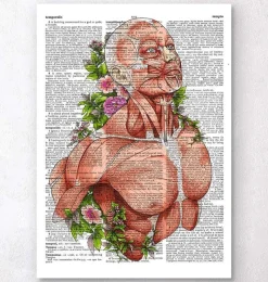 Codex Anatomicus Full Body Anatomy^Male body anatomy art - Dictionary Page