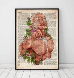 Codex Anatomicus Full Body Anatomy^Male body anatomy art - Old dictionary