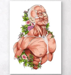 Codex Anatomicus Full Body Anatomy^Male body anatomy art - White