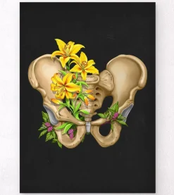 Codex Anatomicus Skull & Skeleton^Male pelvis anatomy - Floral - Black